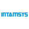 Intamsys